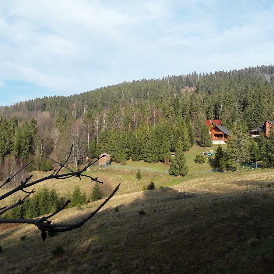 Oryavchik Country House Oryavchyk Exterior foto